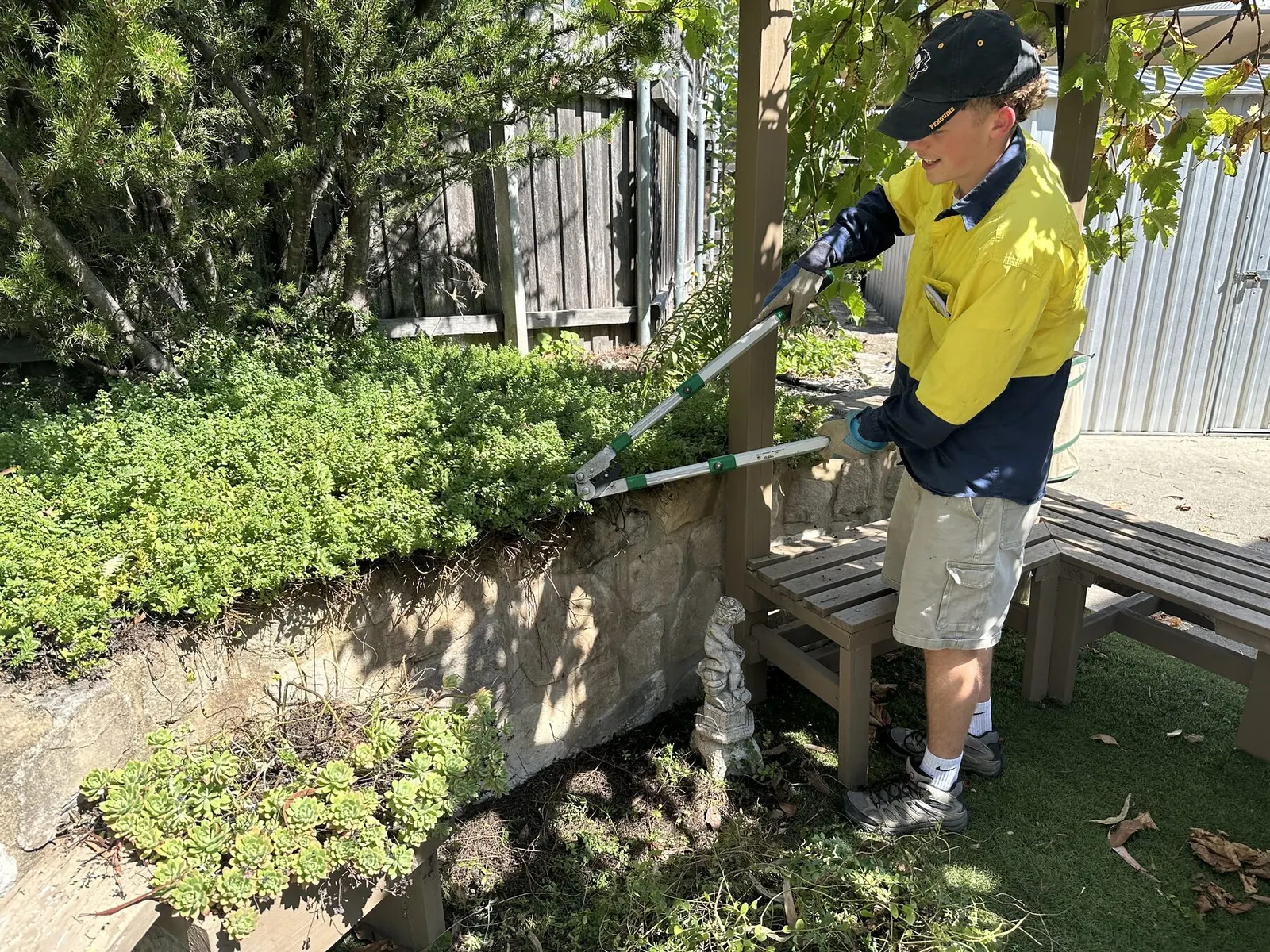 Team member caring for a hedge beside a retaining wall
